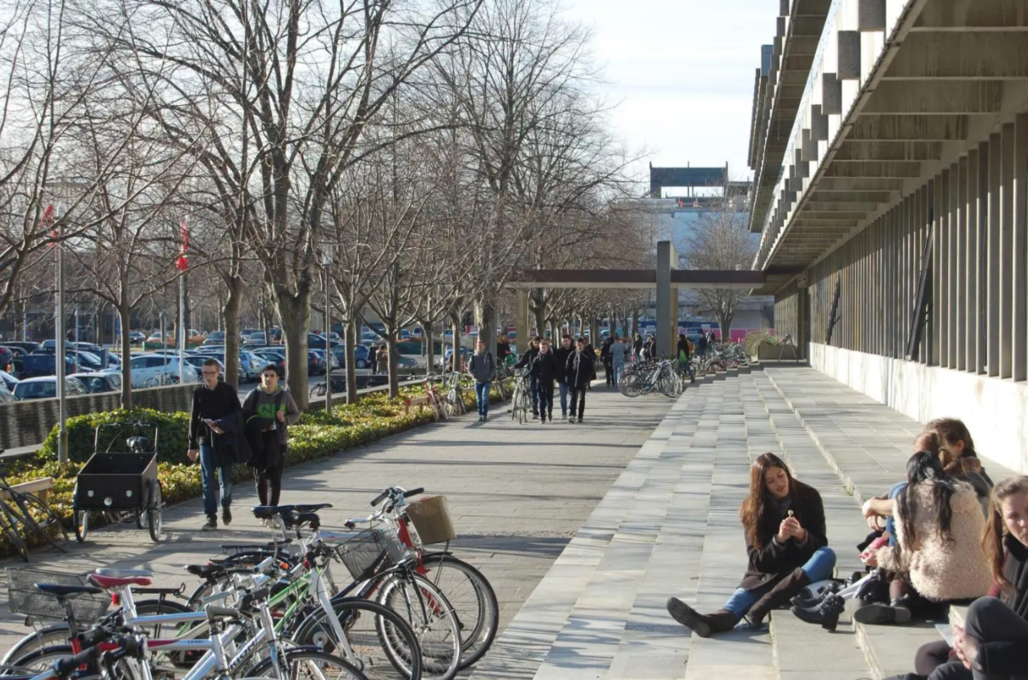 På to kurs på diplomutdanningen ved DTU kan studentene selv bestemme om de skal bestå eller ikke.