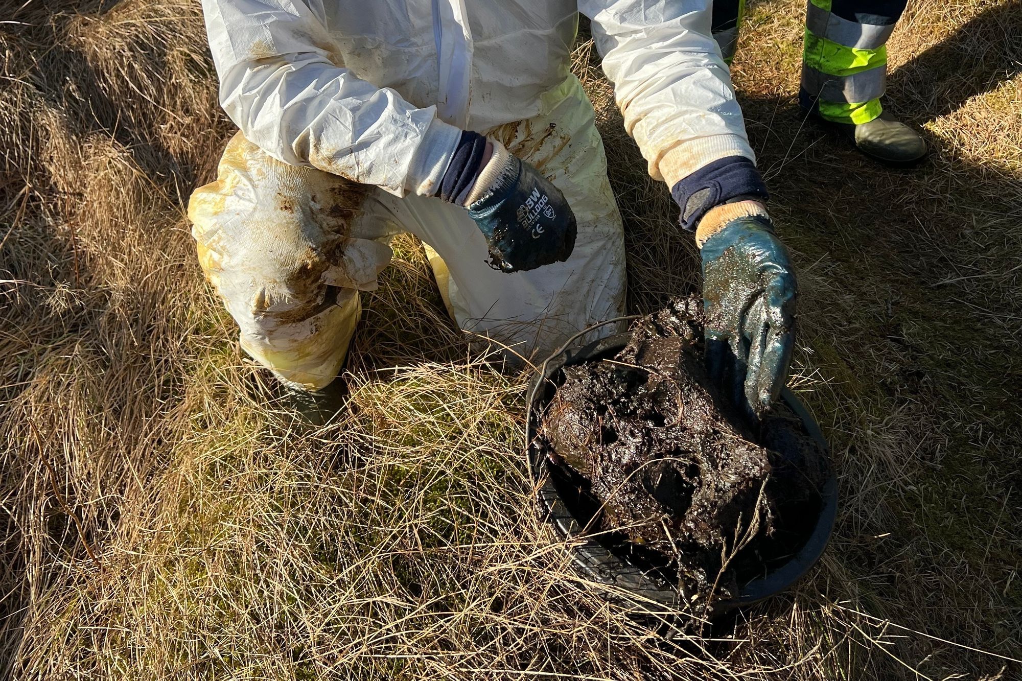 Per 1. september hadde Equinor samlet inn 14.000 liter med oljeklumper. Hele aksjonen har kostet selskapet mer enn 120 millioner kroner. 