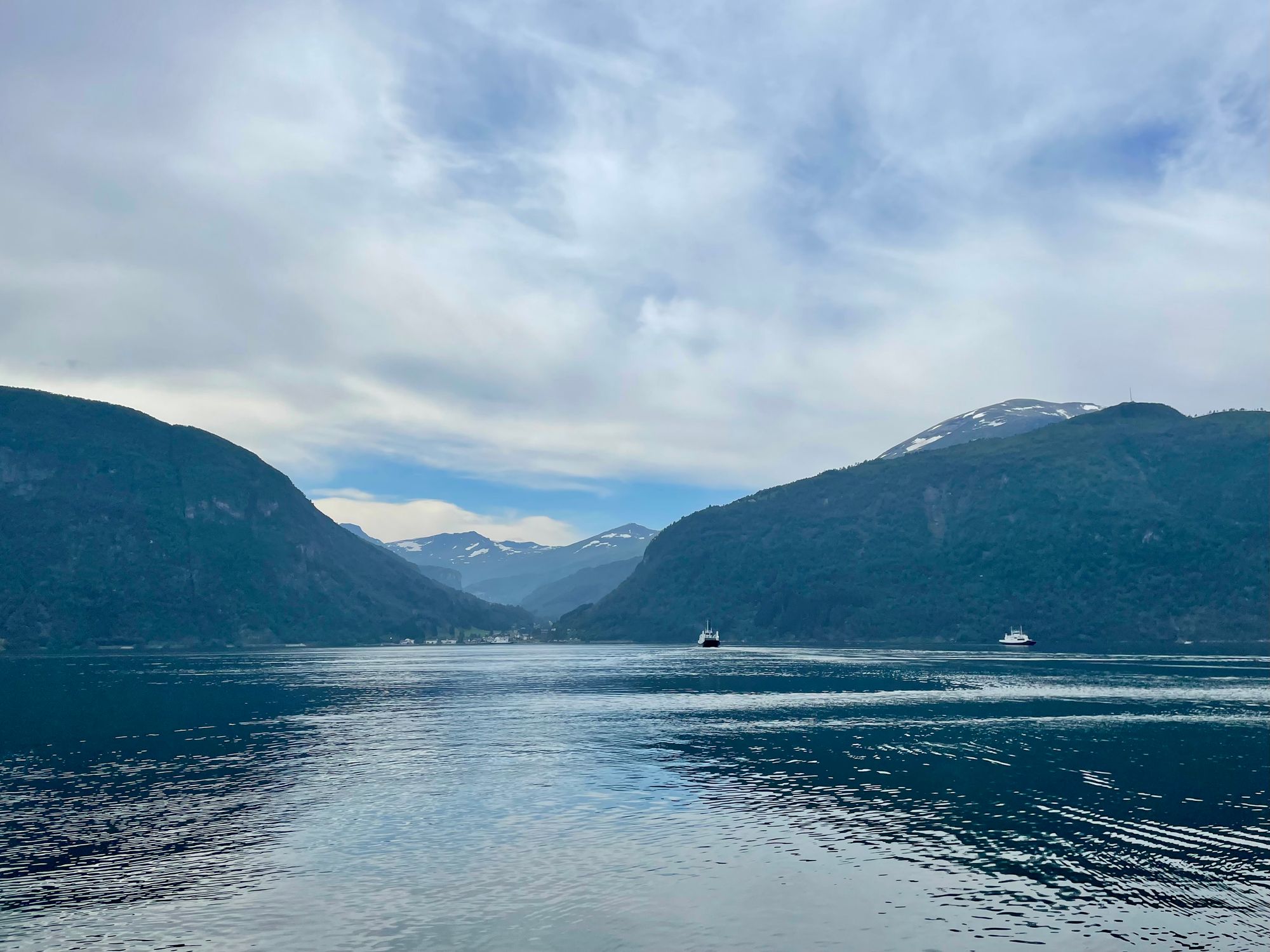 Om utviklingen med synkende oksygennivå fortsetter, kan det bli kritisk for dyrelivet i vestlandsfjordene. 