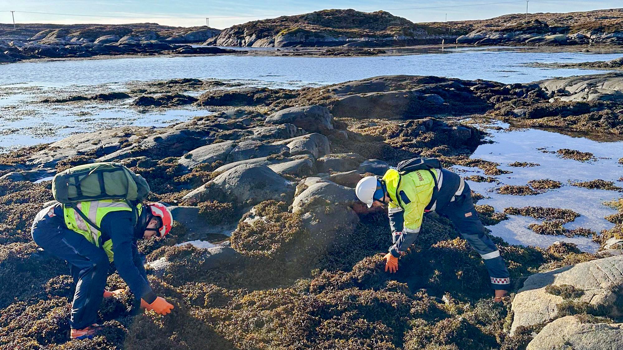 75.000 liter olje havnet i sjøen fra Njord-plattformen 31. desember. Oljen har klumpet seg og drevet i land, og det har vært en større aksjon for å kartlegge og samle inn all oljen.