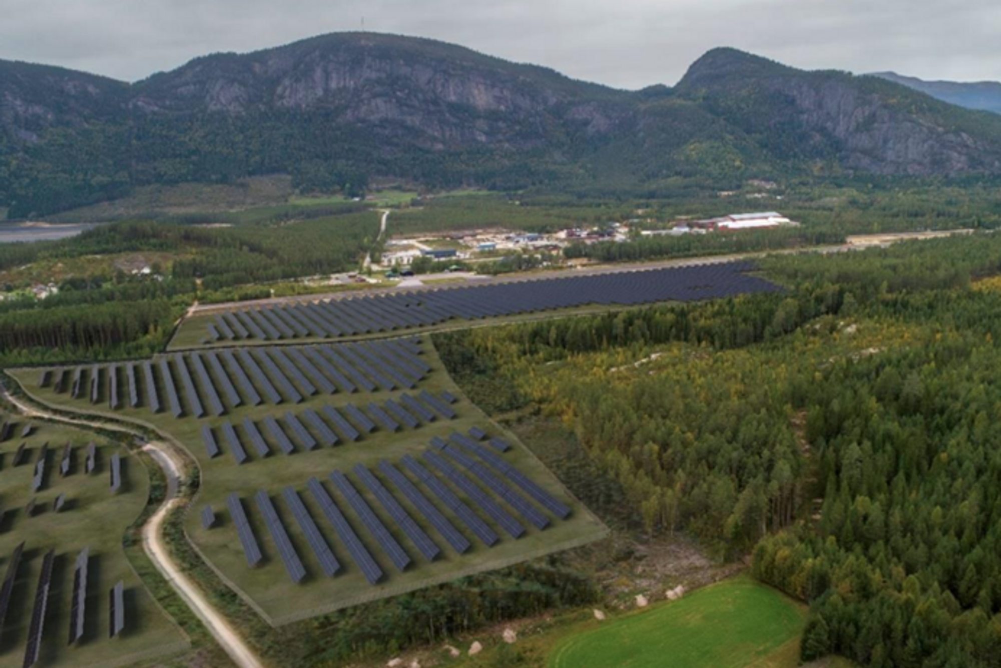 Slik ser Solgrid AS for seg at Fyresdal solkraftverk vil se ut i produksjon. I dag står det produksjonsskog av furu på området.