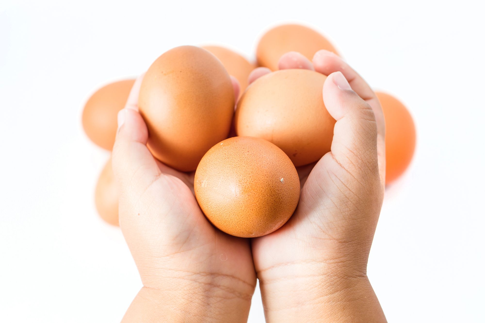 Egg treng verken fôr eller mykje stell. Og det er få etiske motførestillingar mot å forska på det i tidlege stadium, seier forskar.