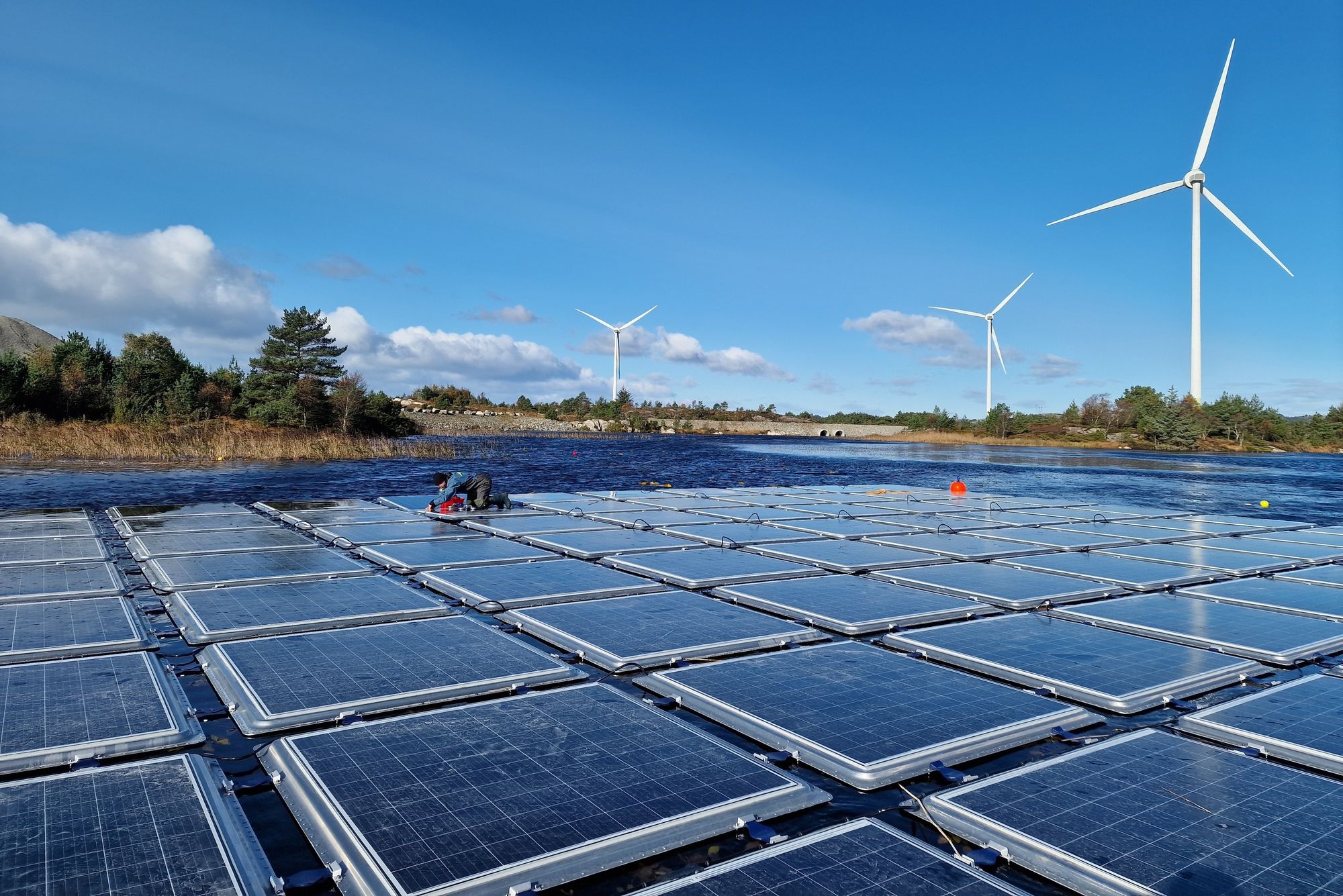 Flytende solceller på Gismarvik i Tysvær. Innføring av Norgespris kan gi mindre solkraft fremover, frykter direktøren for energiomstilling i DNV.