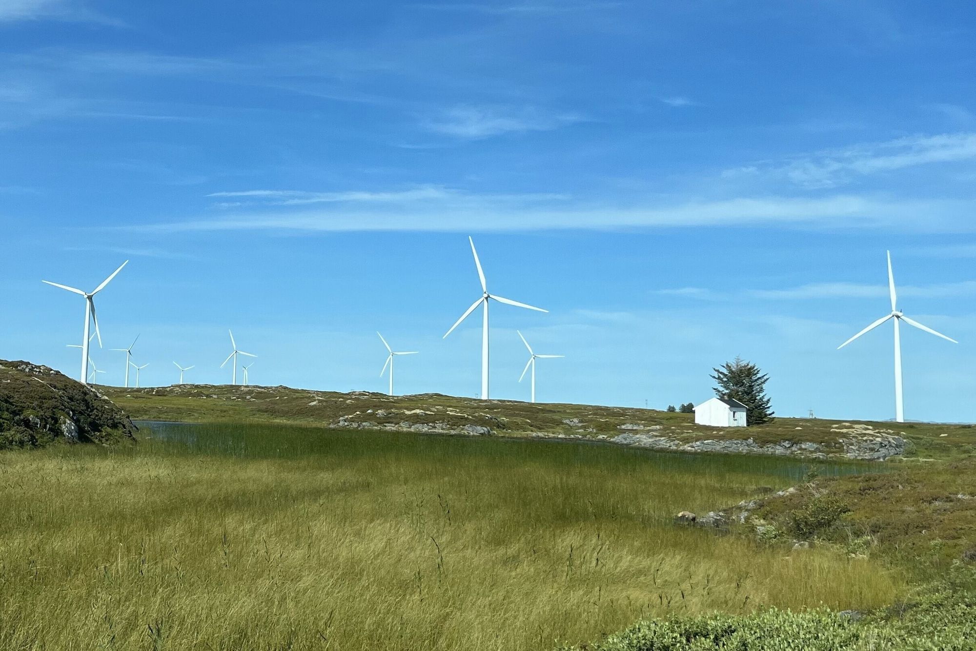 Det er fem tilleggselementer til produksjonskostnadene for vindkraft, og de ender i praksis på strømregningen til folk, skriver innleggsforfatterne. Bildet er fra Smøla vindpark.