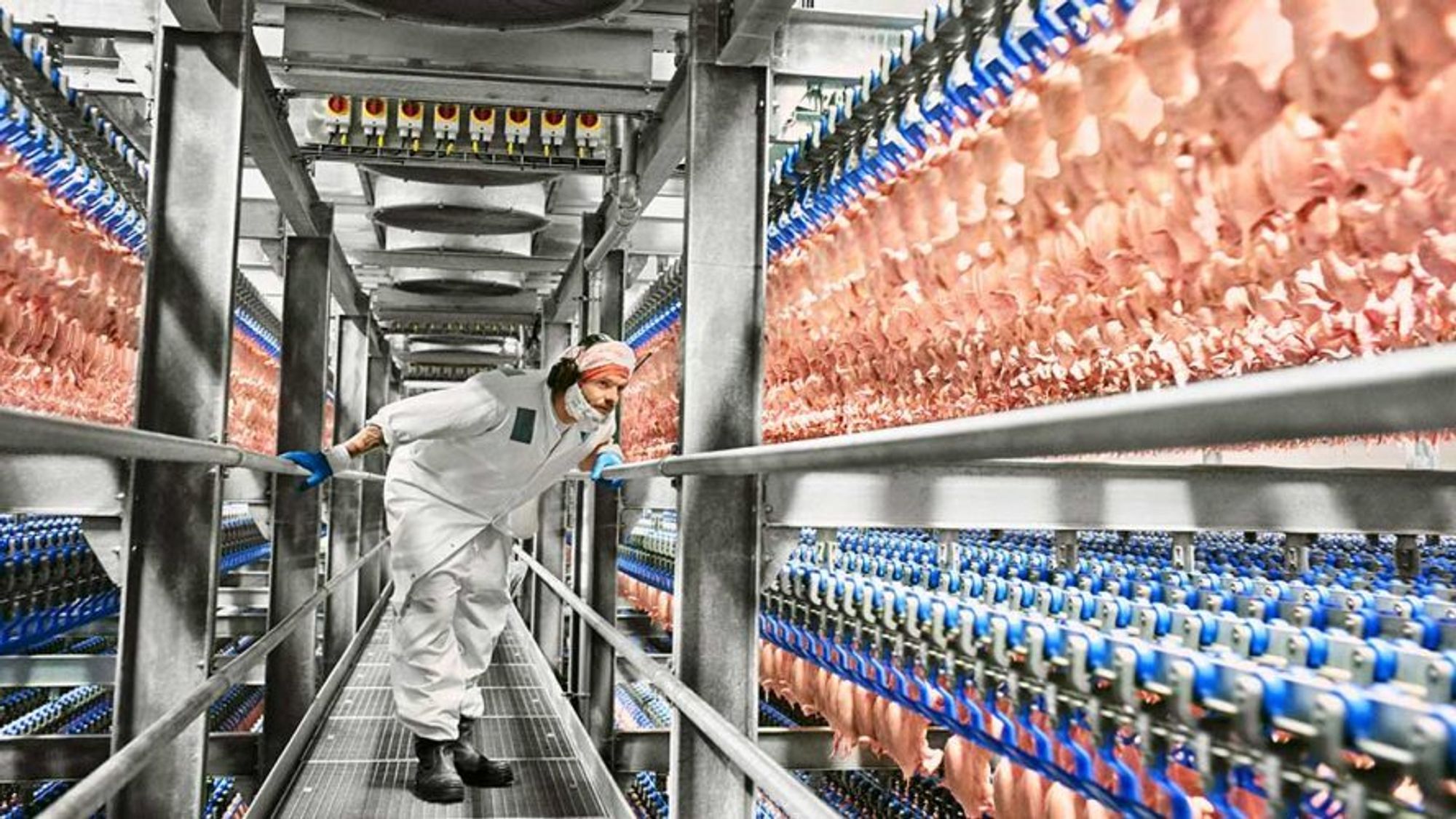 En variasjon i spenningen i strømnettet skapte store problemer for IT-infrastrukturen på Norturas fabrikk på Hærland i 2023. Nå krever driftsleverandør Matiq 19 millioner kroner av sin tidligere samarbeidspartner.