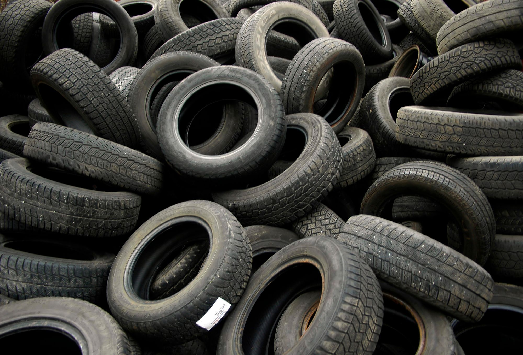 Ny rapport viser funn av bildekk-rester i blåskjell. 