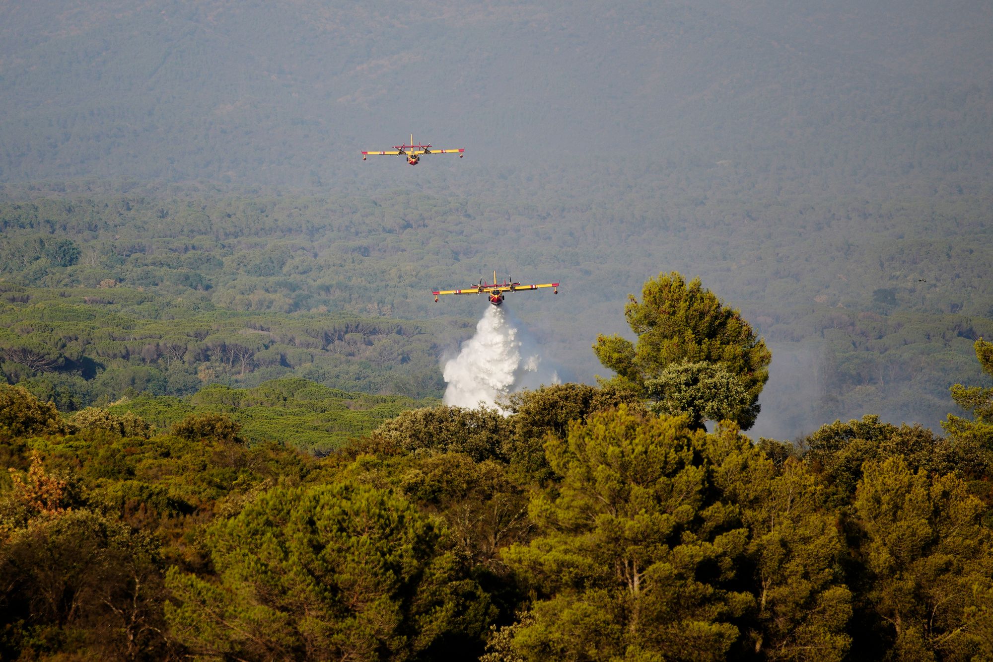 Skogbrann er bant årsakene til at europeiske skoger ikke tar opp like mye CO₂ som antatt. Frankrike vil derfor legge en nødbrems inn i klimamålet for 2040.