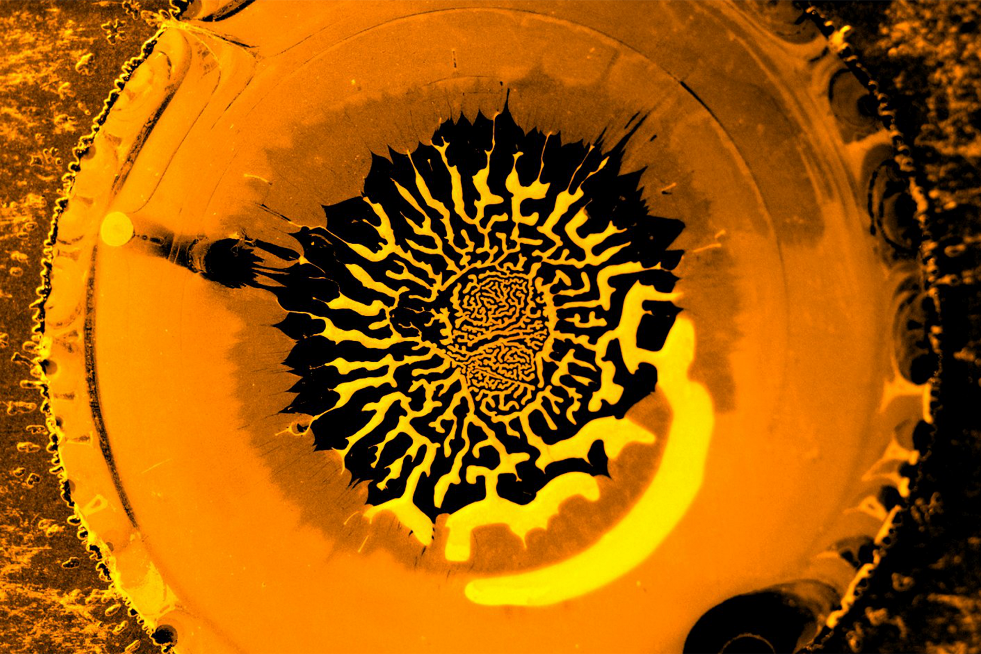 En dråpe væske med partikler har tørket og dannet labyrintmønstre.