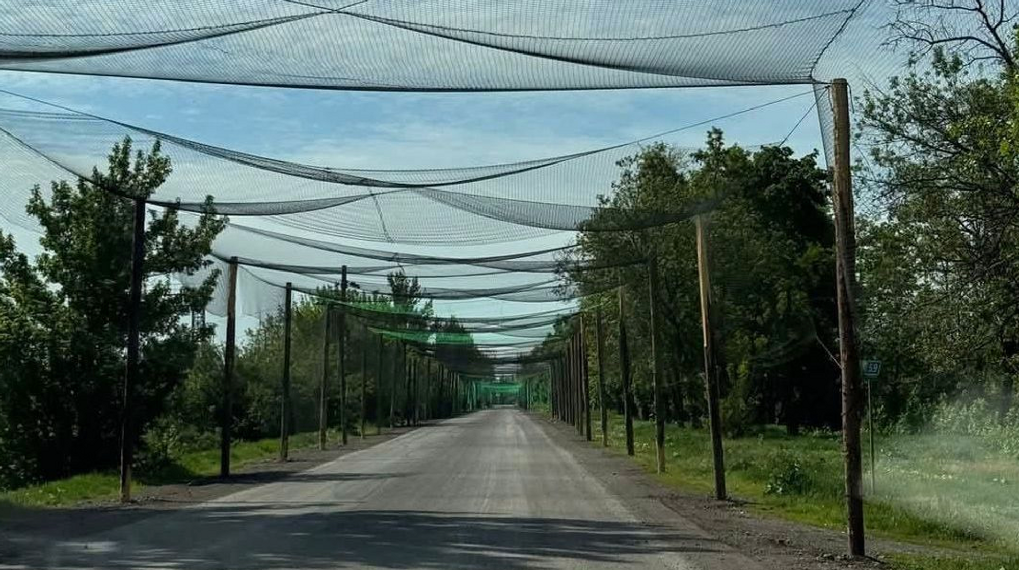 Tunneler av fiskegarn skal i løpet av året dekke tusenvis av kilometer på det ukrainske veinettet. 