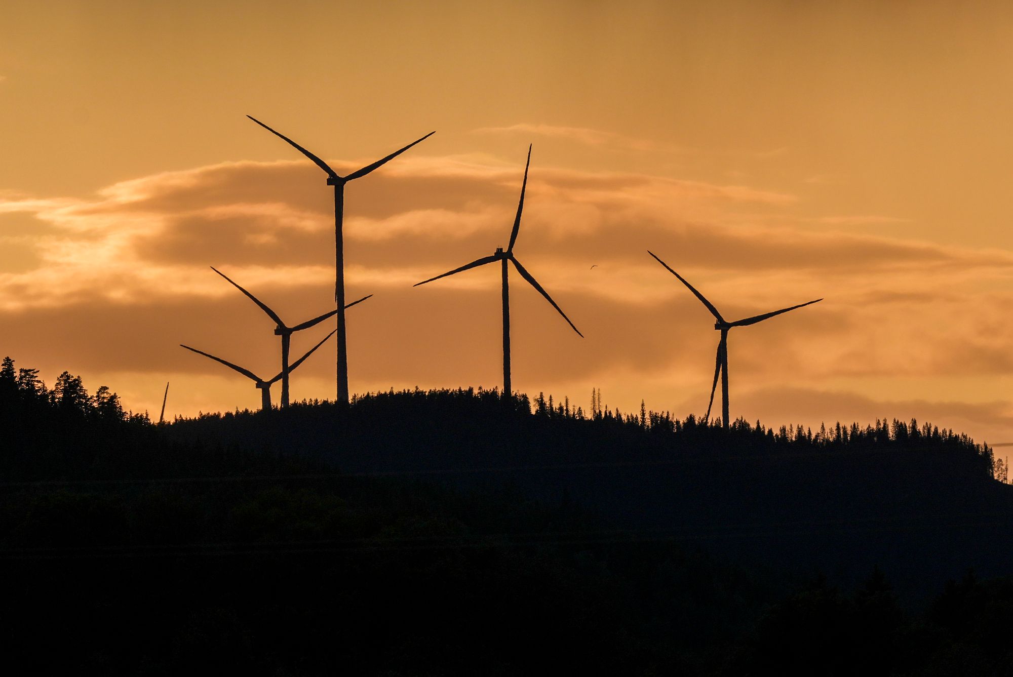 Vindmøller i solnedgang i Odalen.