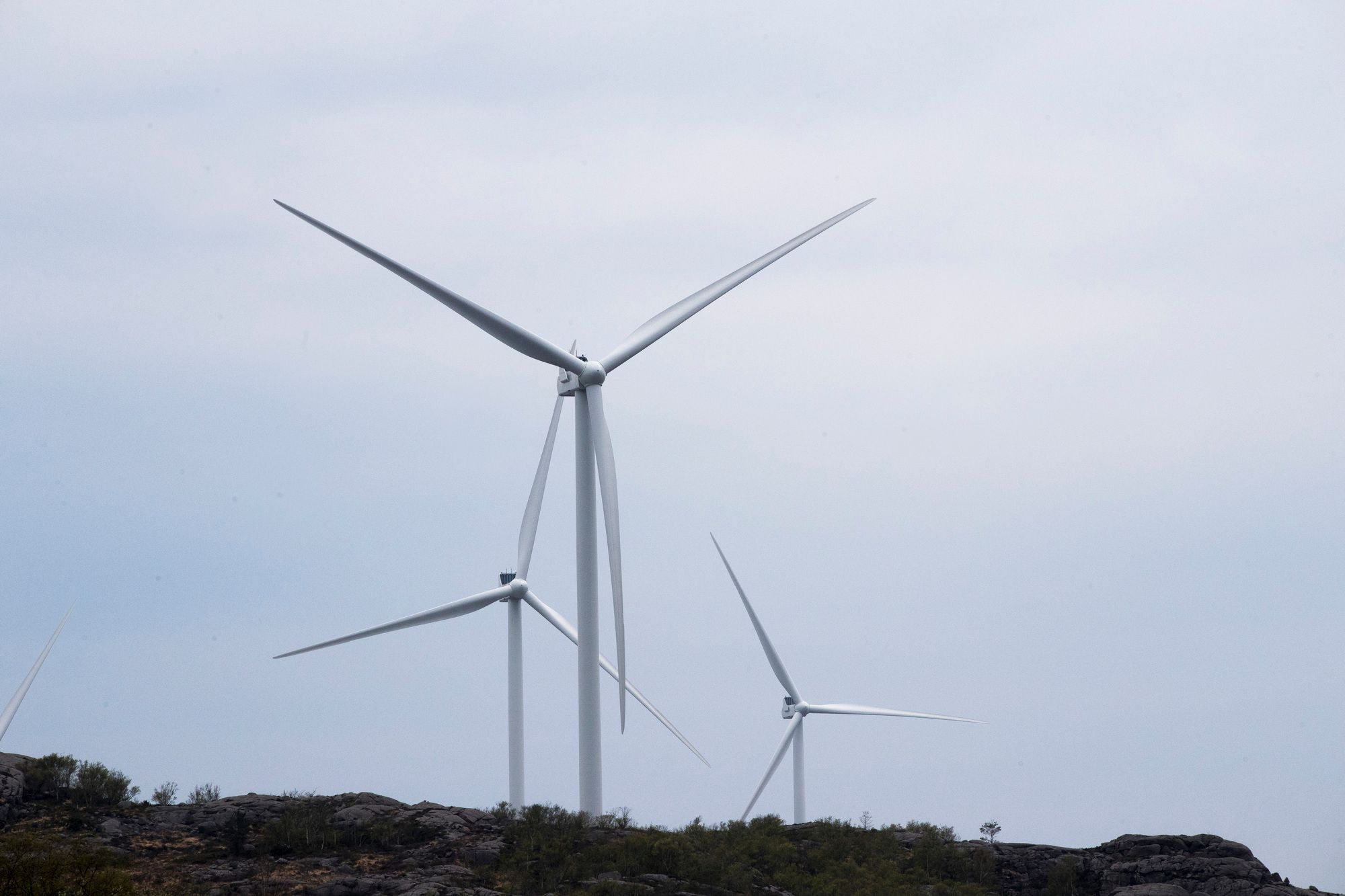 
Eviny kjøper tyske vindkraftverk i Bjerkreimsklyngen i Rogaland. Foto: Terje Pedersen / NTB
Eviny kjøper tyske vindkraftverk i Bjerkreimsklyngen i Rogaland
