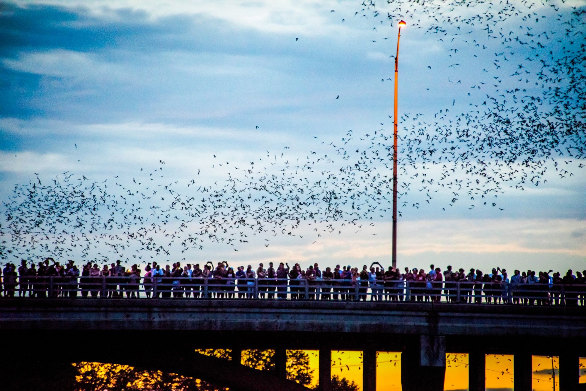 Profilen av sentrale Austin i november 2025, med Ann W. Richards Congress Avenue Bridge til høyre.