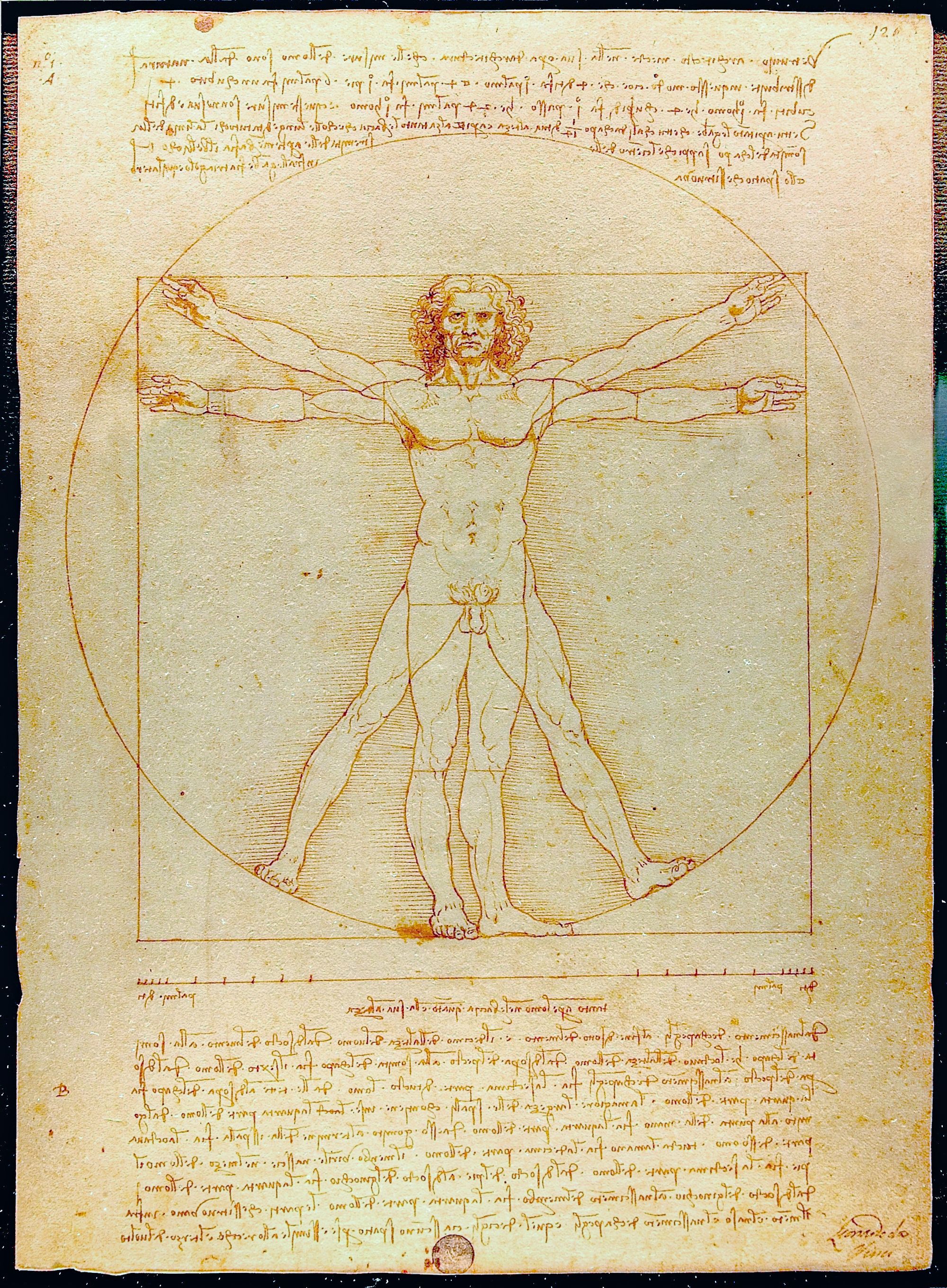 Antatt selvportrett av Leonardo da Vinci. Det kongelige bibliotek i Torino.