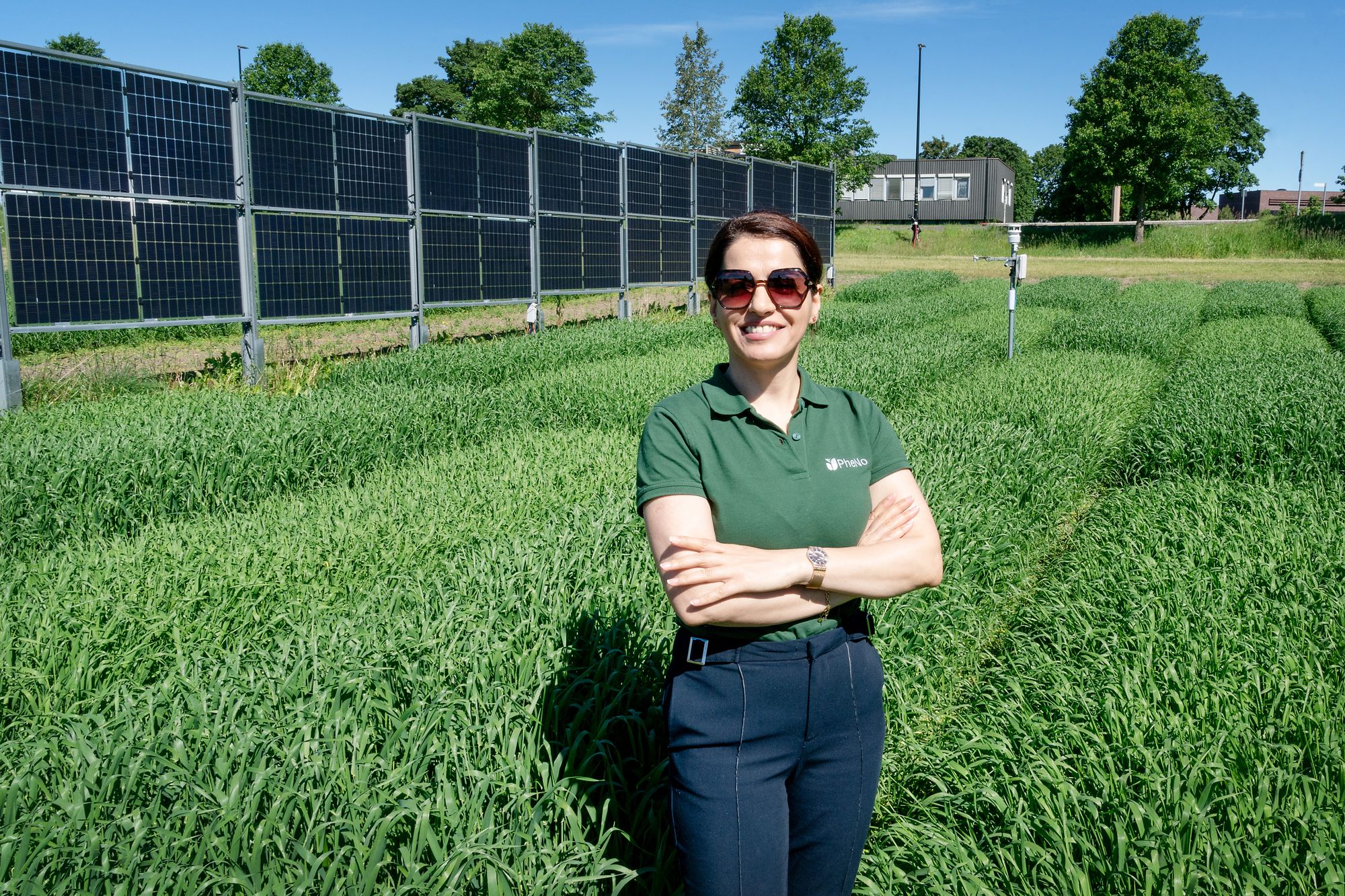Temperatur og fuktighet påvirker resultatene, påpeker planteforsker Sahameh Shafiee. Foto: Eirik Helland Urke