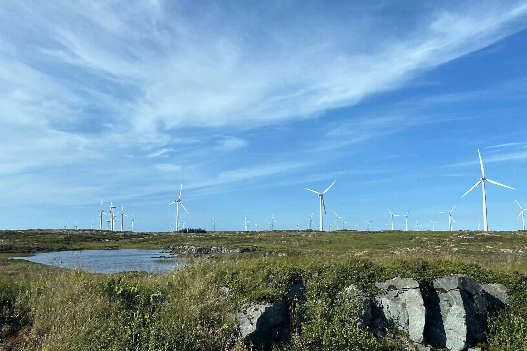 Ny, norsk energiproduksjon frem mot 2040 vil i hovedsak bli drevet av vindkraftutbygging, både til lands og til havs. Her fra Smøla vindpark.