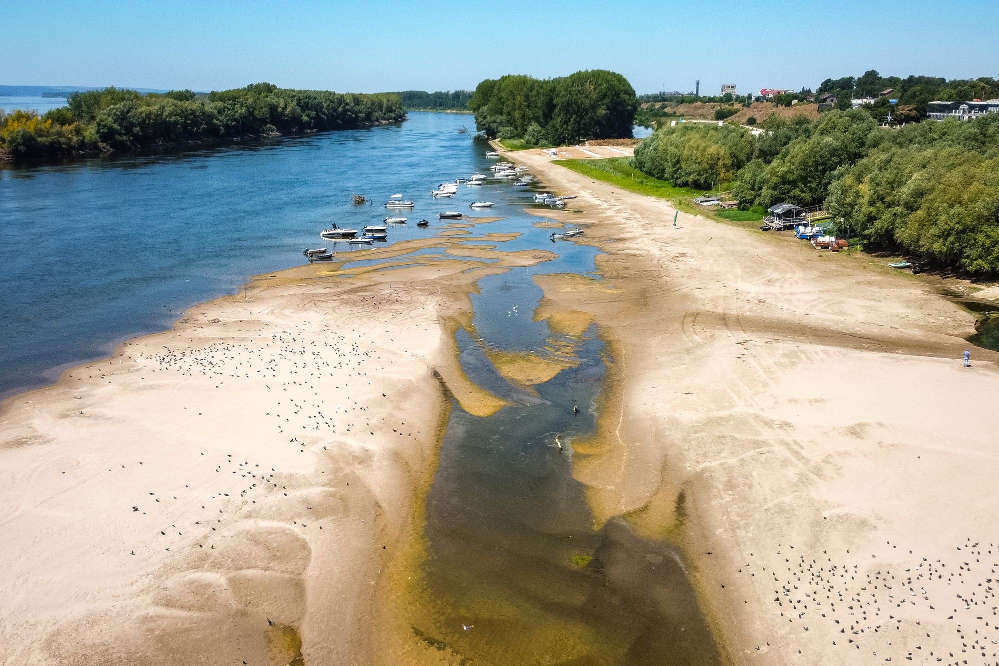 Et landområde som vanligvis ligger under vann, stikker opp av Donau etter en lengre tørkeperiode i Corabia, Romania. Den økonomisk viktige båttrafikken får problemer når vannstanden blir så lav.