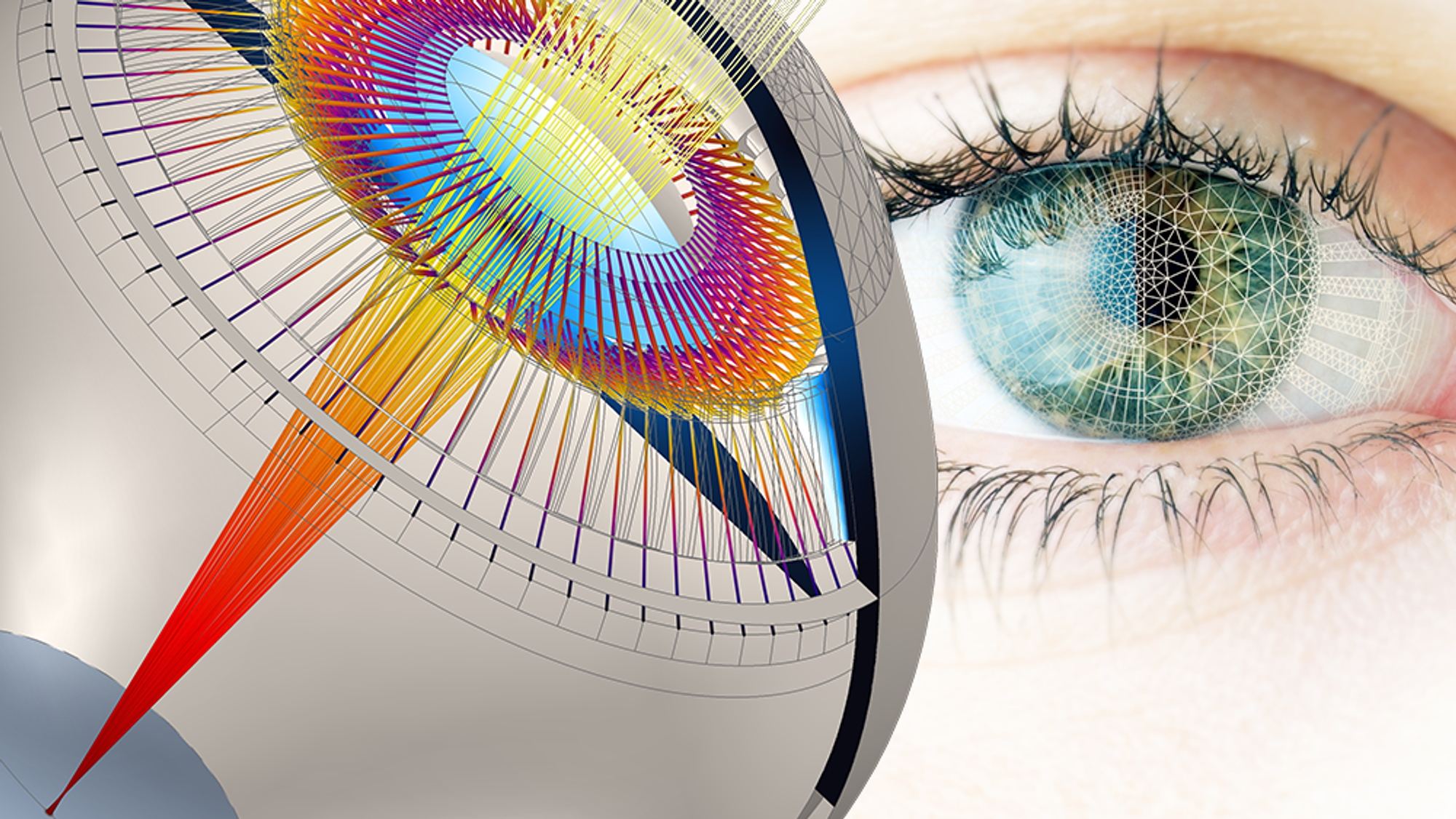 3D-modell av øyet kan utsette behovet for lesebriller med minst 20 år