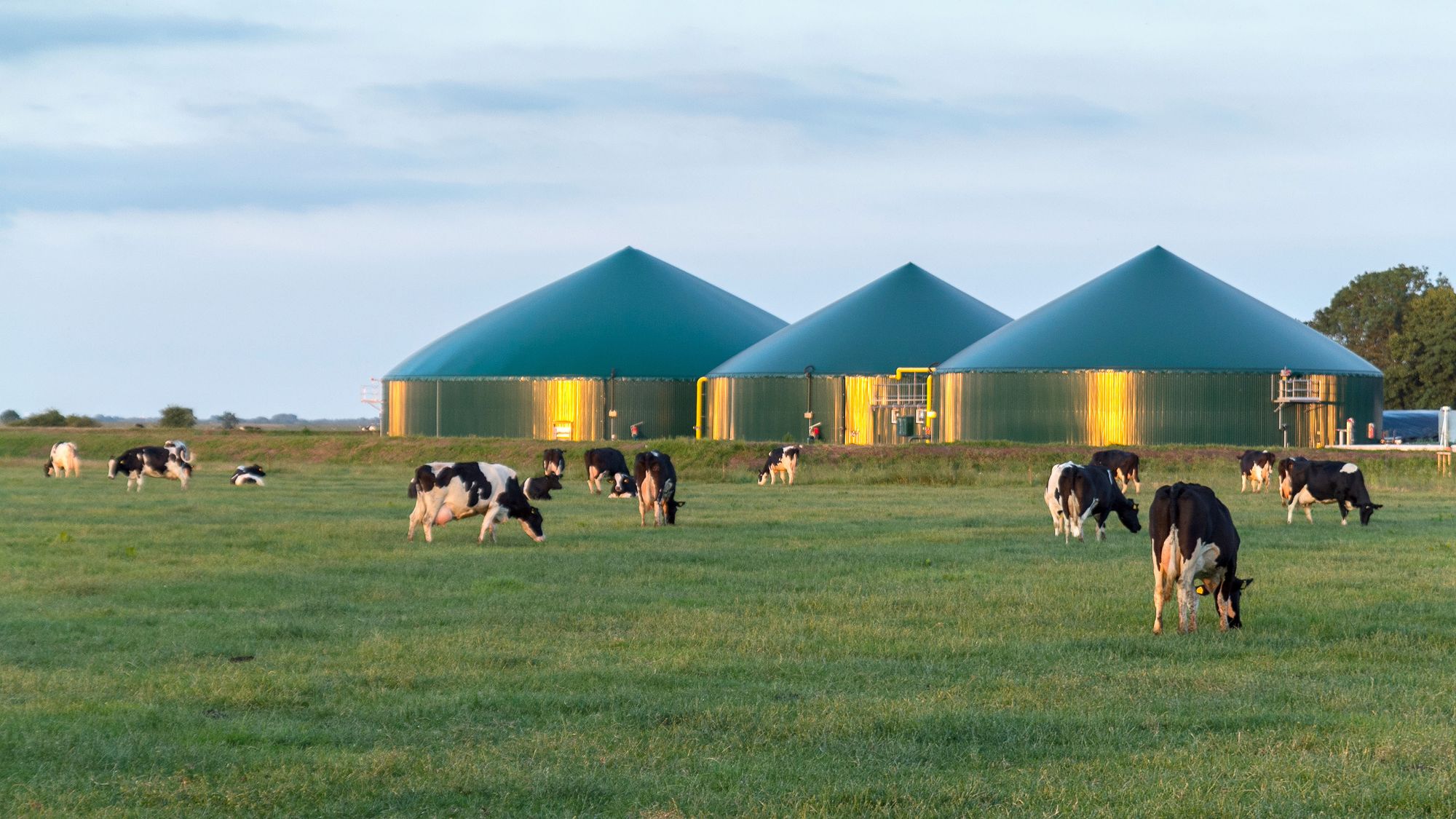 Slik kan biogass bidra til å løse klima- og energikrisen